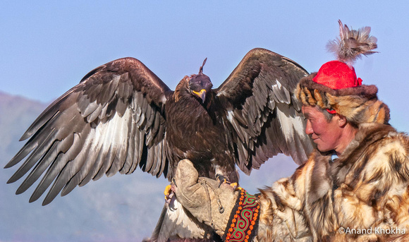 Eagle Hunter at the Uligi Festival