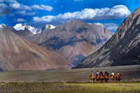 The Magic of Ladakh,
