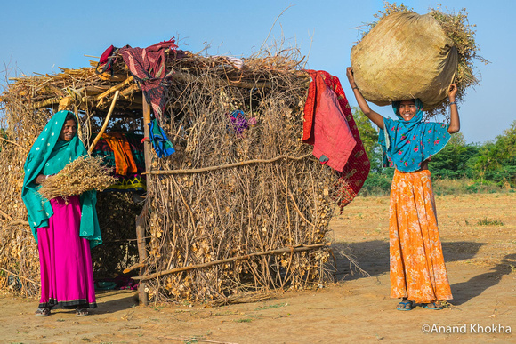 Carrying the Load, Rabri Tribe