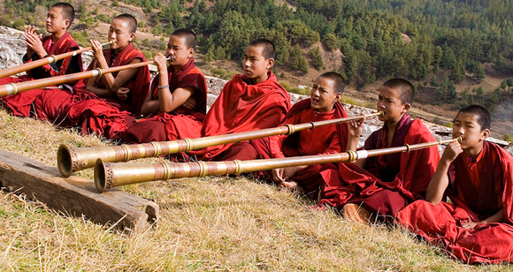 Long Horns, Bhutan