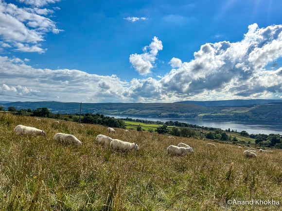 Highlands near Helensburgh