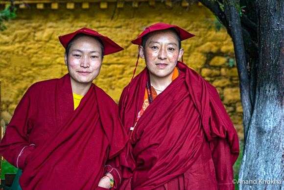 Buddhist Nuns, Norbulingka Palace, Lhasa