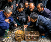 Markets and Village Life of Guizhou Province