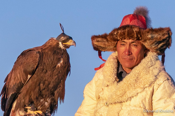 Moment of Rest for the eagle