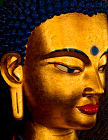 Buddhist Faces and Places from Across the World