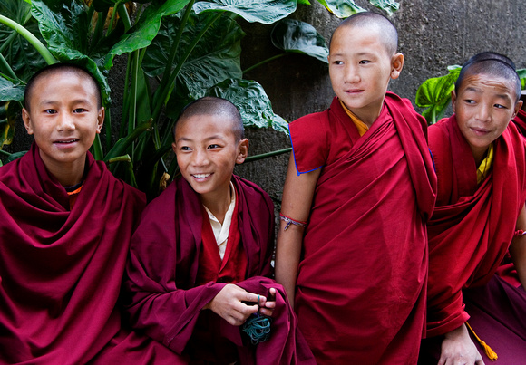 Monks, Dharamsala, India
